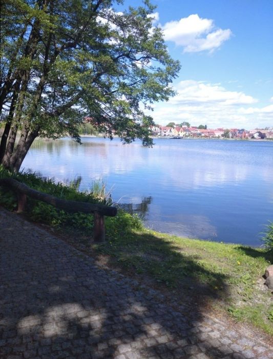 Zdjęcie 8