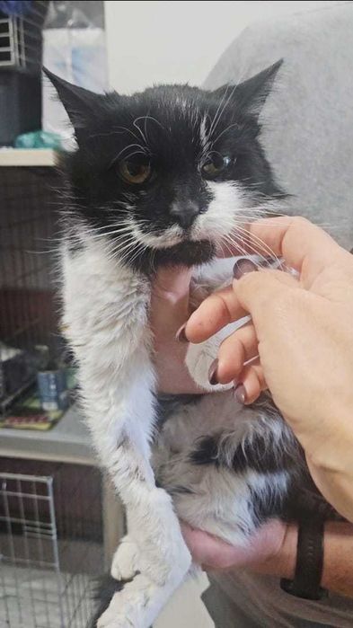 Cichutki aniołek skazany na śmierć — LUSIA