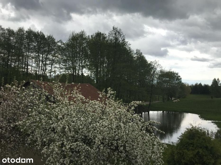 Siedlisko 2,38 ha z zabudowaniami i stawem – 14 km od Olsztyna