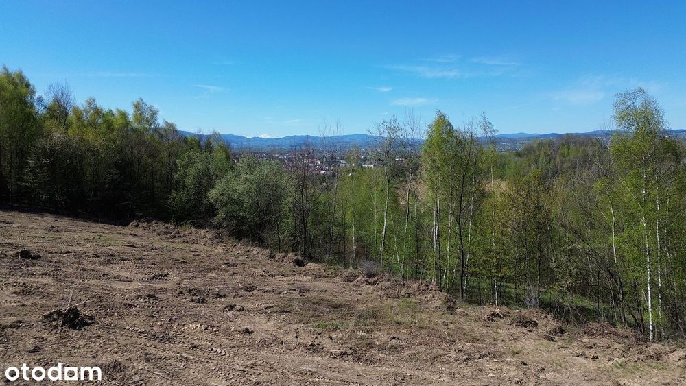 Działka, Nowy Sącz