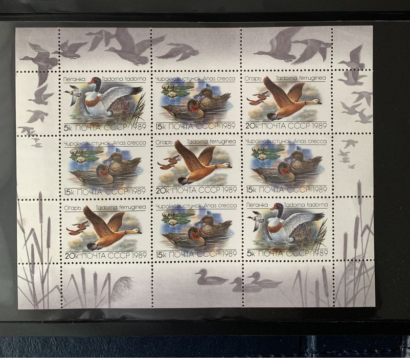 Марки  поштові. Марковані аркуші