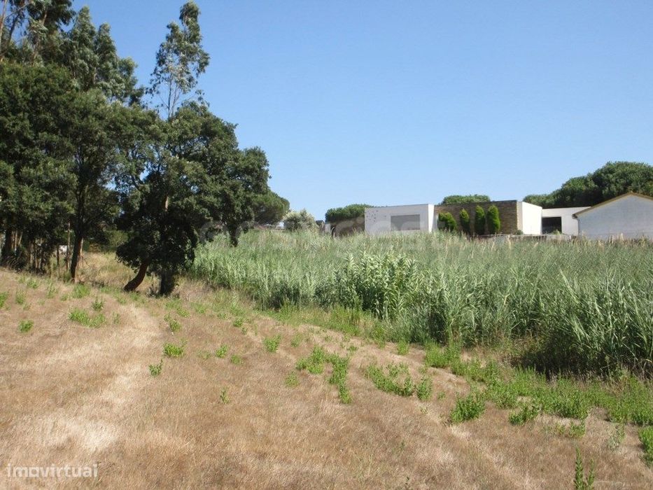 Terreno para construção em Casal do Rei - Rio Maior / Caldas da Rainha