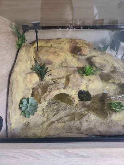 Terrarium dla gadów z wyposażeniem