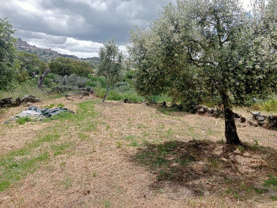 Monsanto Aldeia Histórica Venda de casa tipica