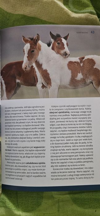 Konie rasowe- książka