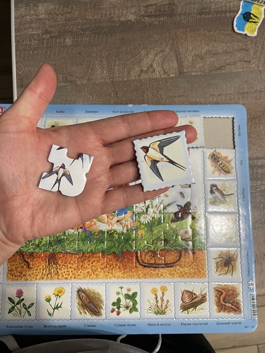 Настільна гра  Ravensburger, Djeco, Goki кубус