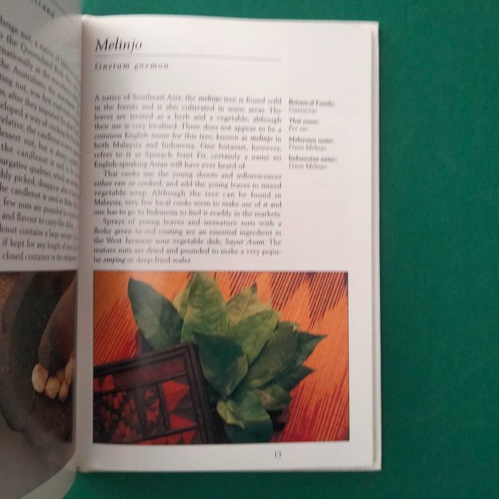 Tropical Herbs & Spices of India & Sri Lanka - Wendy Hutton