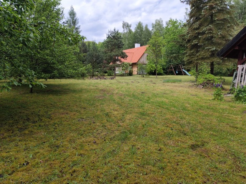 Koszenie, pielęgnacja trawników
