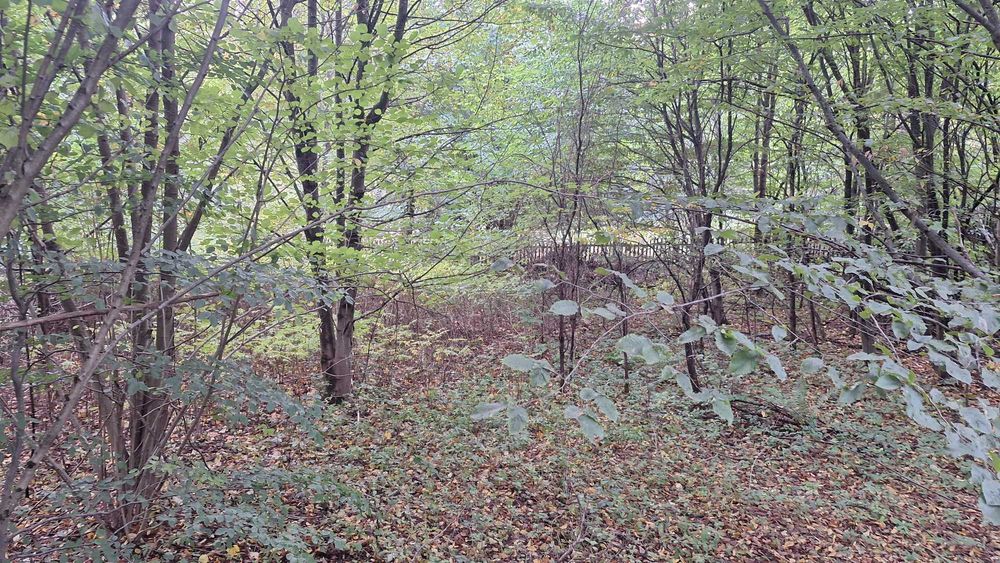 Sprzedam działkę budowlaną w Zagórzu, przy lesie, blisko jeziora