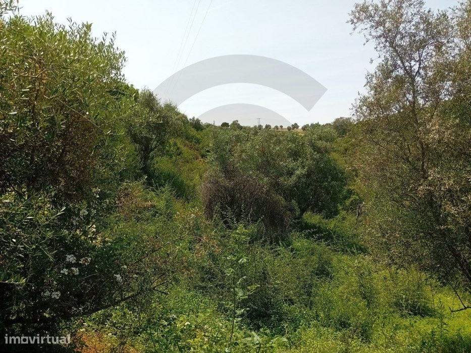Terreno - Água Peneira, Santarém