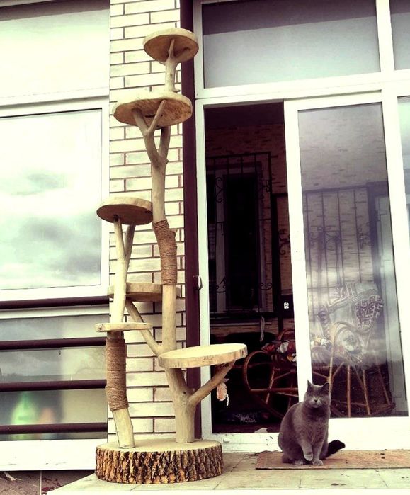 Домик для кота ігрова зона еко эко дряпка когтеточка