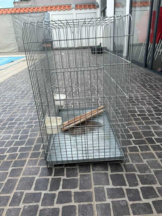 Gaiola grande (papagaio)