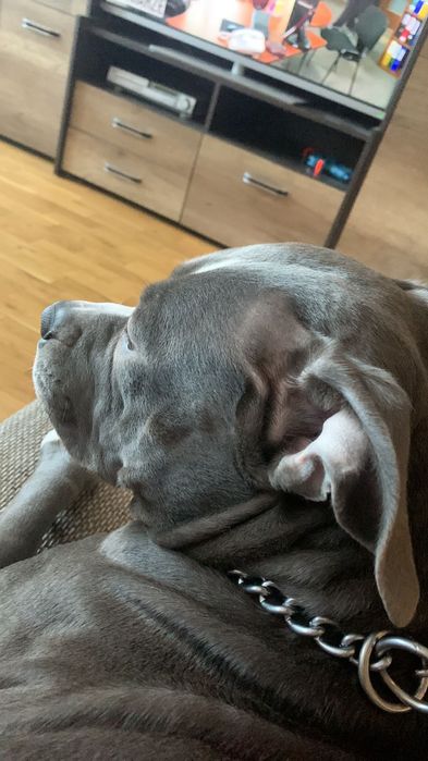 Oddam tylko w odpowiednie i dobre ręce sprawa pilna