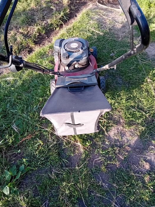 Máquina de cortar relva a gasolina.
