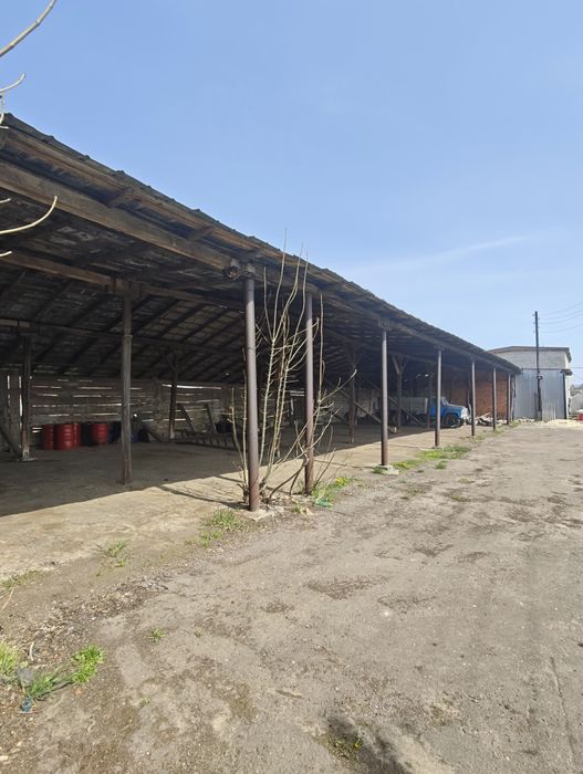 Продаж майнового комплексу та діючого експортно-орієнтованого переробного підприємства
