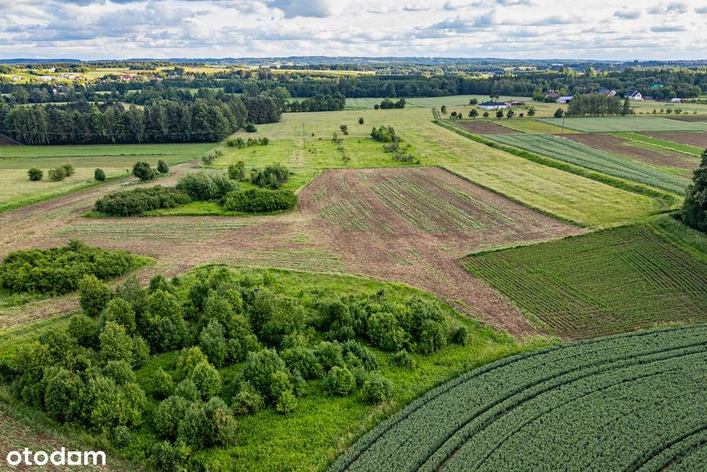 Działka 57 arów – idealna pod Krus – Palikówka - Widok 2