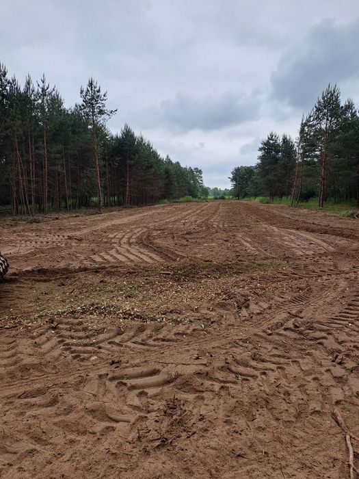 Frez wgłębny frezowanie karczowanie pni  pozostałości po lesie