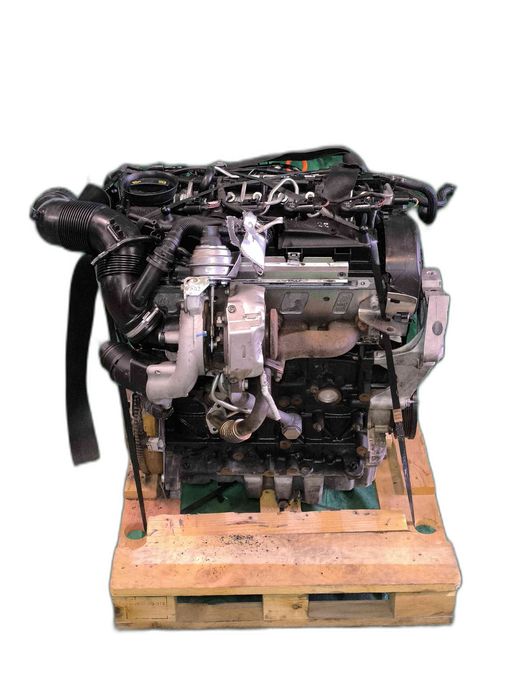 Motor Completo VW CADDY III Veículo multiuso 1.6 TDI (75 kW / 102 cv) [08.2010 - 05.2015] CAY (OEM)