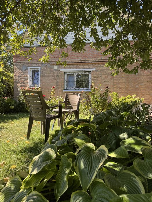 Продам будинок на Новомиколаївці