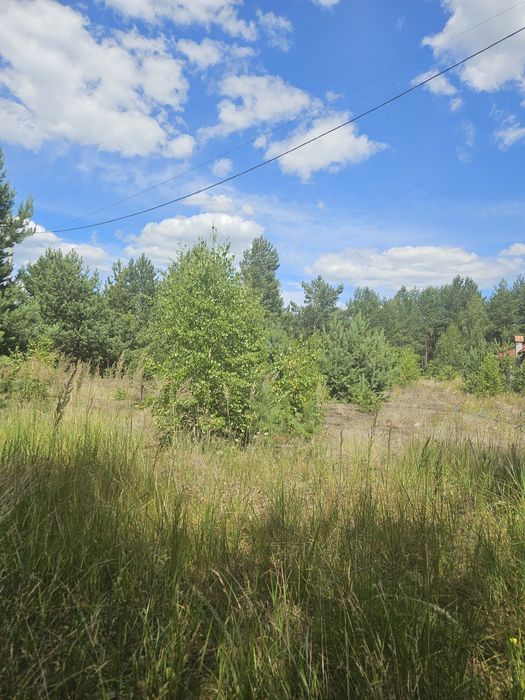 Продажа,обмен участка от 0.24Га с.Нежиловичи, застройка в лесу