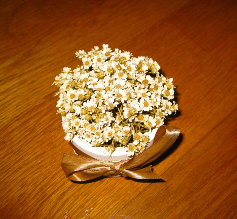Vaso de Gesso Perfumado com Flores