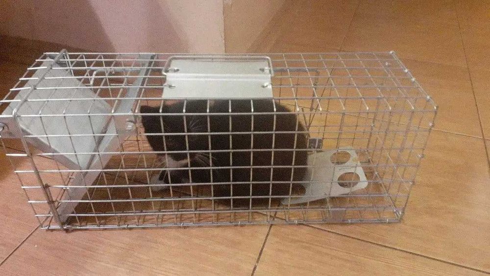 Живоловка 50х17х20 см оцинкована пастка ловушка для грызунов
