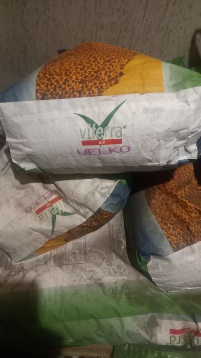 Продам семена подсолнуха