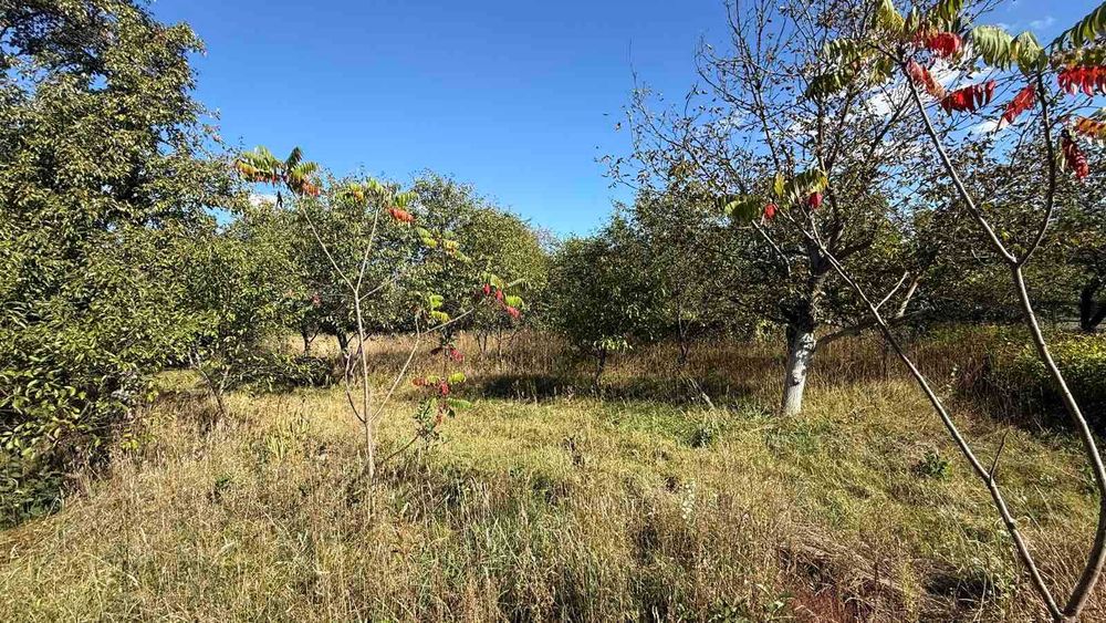 Продаж будинку Колонщина вул.Шевченка 108 60сот