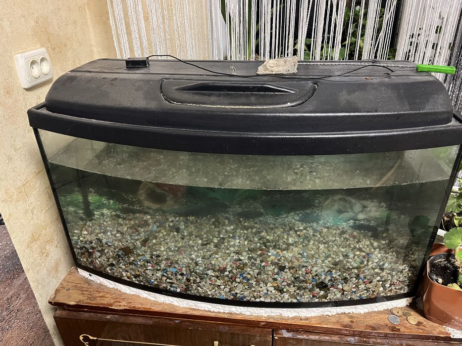 Продам акваріума (100л.)