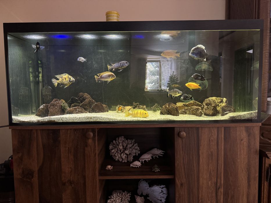 Акваріум 150х50х60 450л