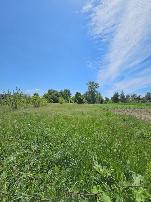 Продаж ділянки ОСГ  в центрі села Рожни