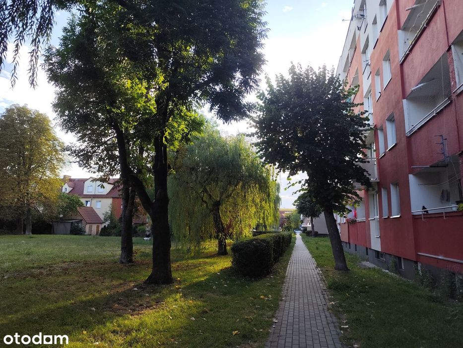 3 Pokoje \ Opole \Środmieście \ Balkon\ Dostępne Od Zaraz