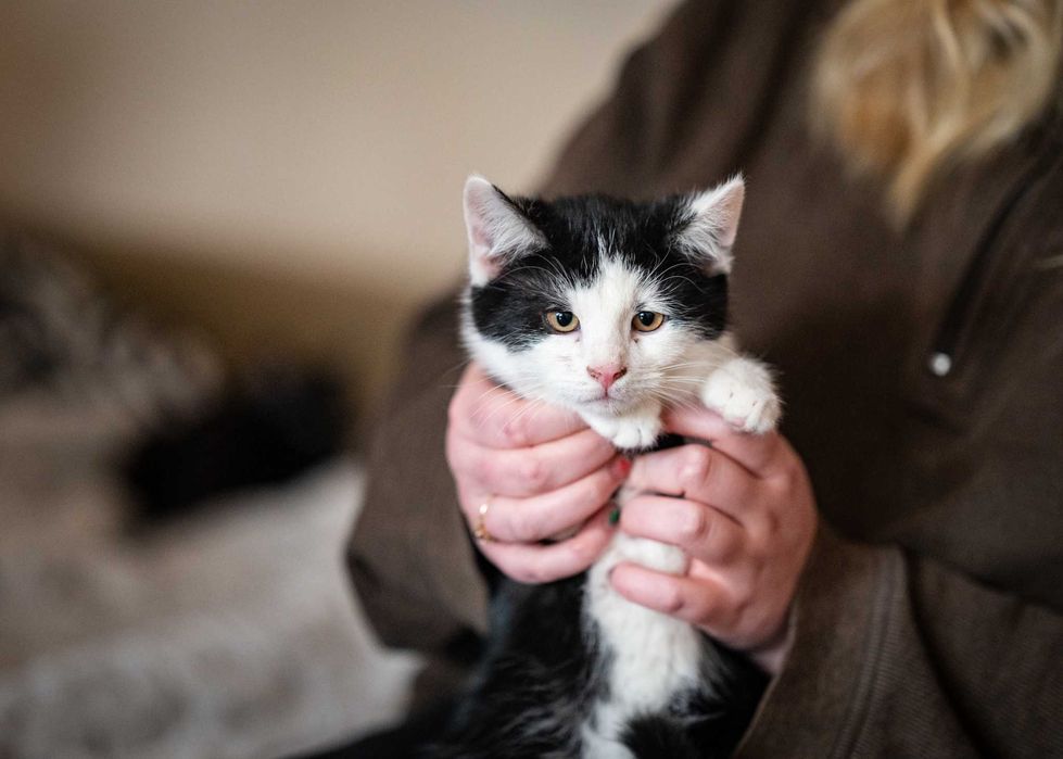 AMOREK – mały Kupidyn, który trafi prosto w Twoje serce