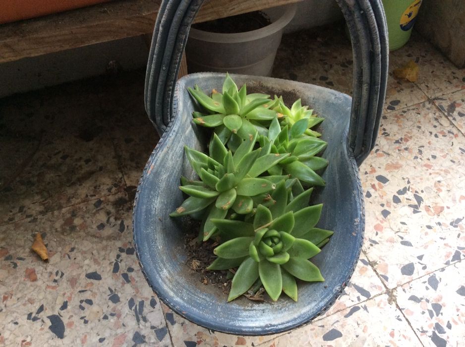 Vendo vaso em ceramica