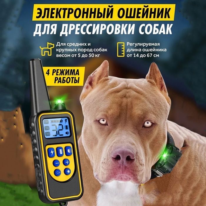 Электронный ошейник для дрессировки собаки DTC 800