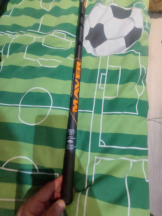 Bolonka Maver 6m
