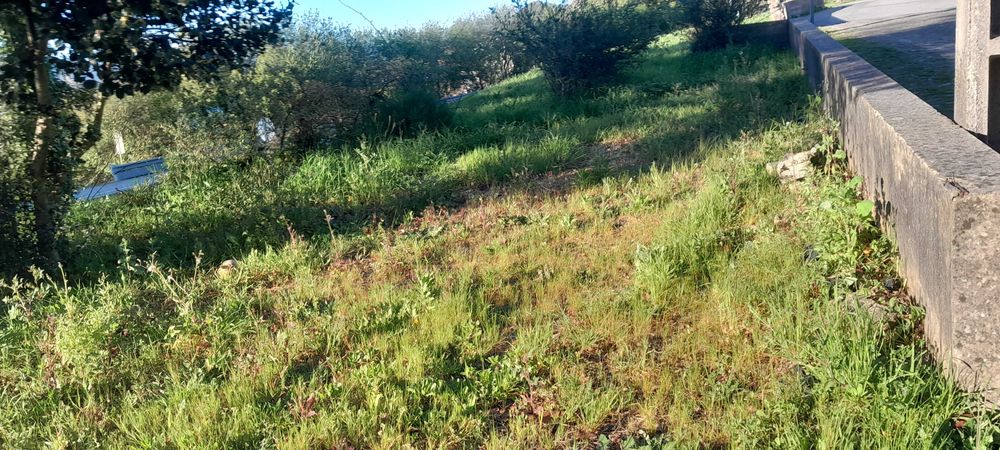 ServiLimpezas terrenos