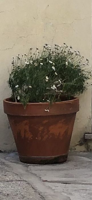 Vasos em barro para flores