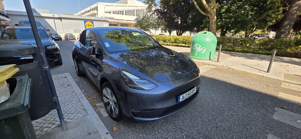 Tesla Y nacional