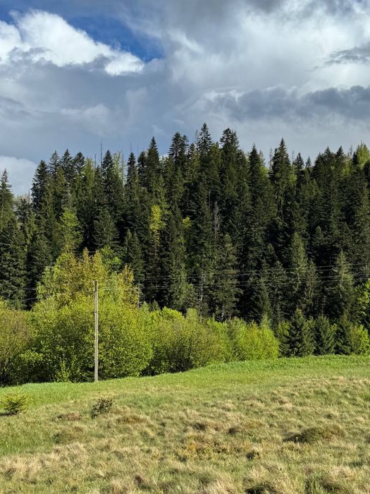 Найкрасивіші краєвиди в  Микуличині , земля Карпати, ділянка в горах