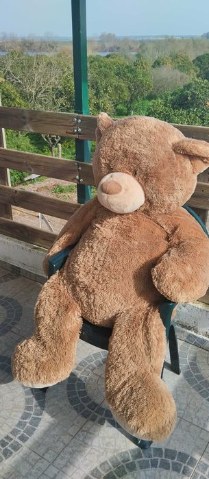 Uma autêntica fofura