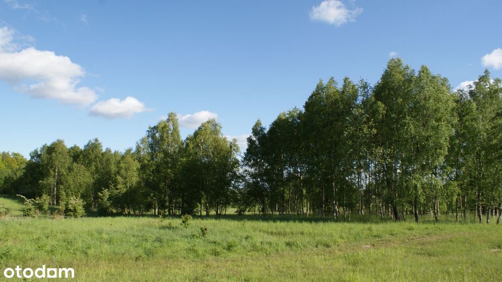 Działki - Ścienne - Ińsko
