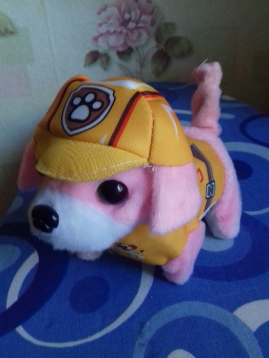 Собачка спасатель