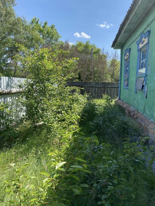 Будинок біля лісу, для тих хто втомився від міської метушні!