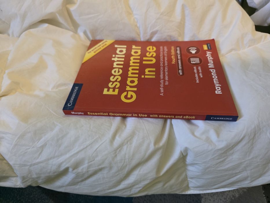 Essential Grammar in Use Raymond Murphy