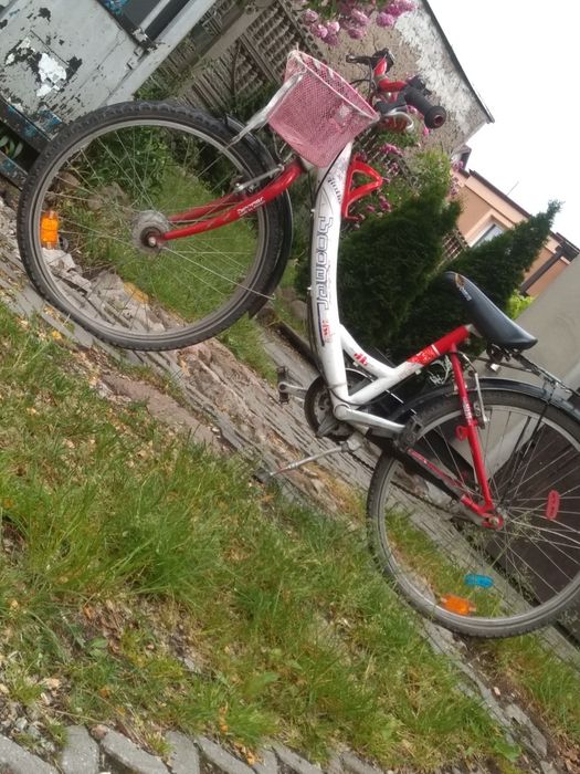 Rower dziecięcy boomer (24cale)