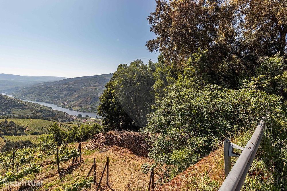 Terreno  para venda