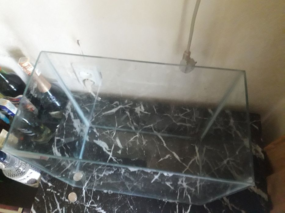 Пропонується акваріум