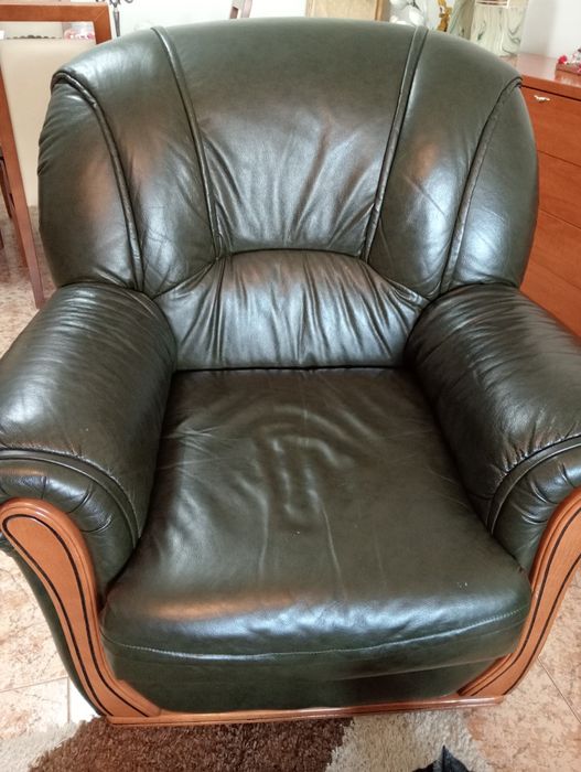 Sofás de pele verdes