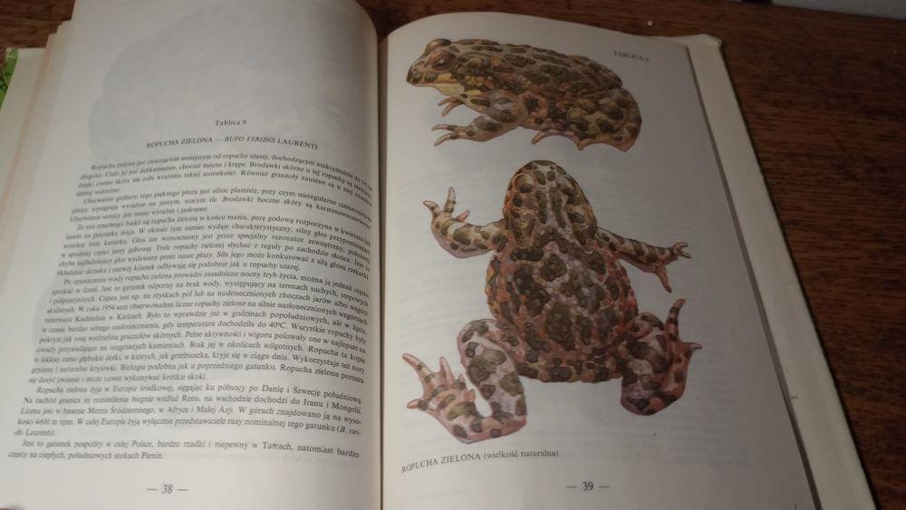 Płazy i gady Polski. Marian Młynarski